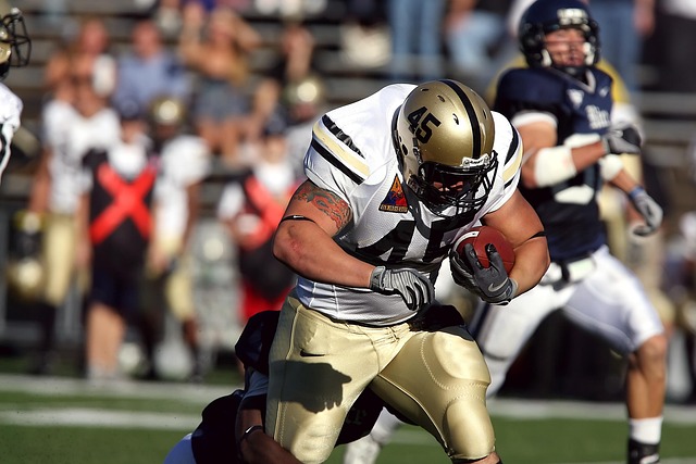 也是他对皇 也是他对皇